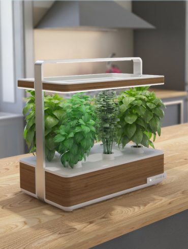 Basile, le jardin d'intérieur pour plantes aromatiques