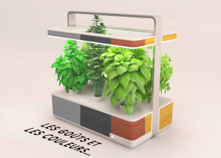 Basile - le potager connecté