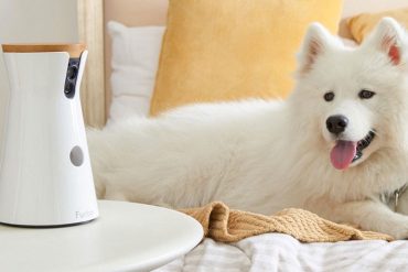 Furbo, une caméra connectée pour chien