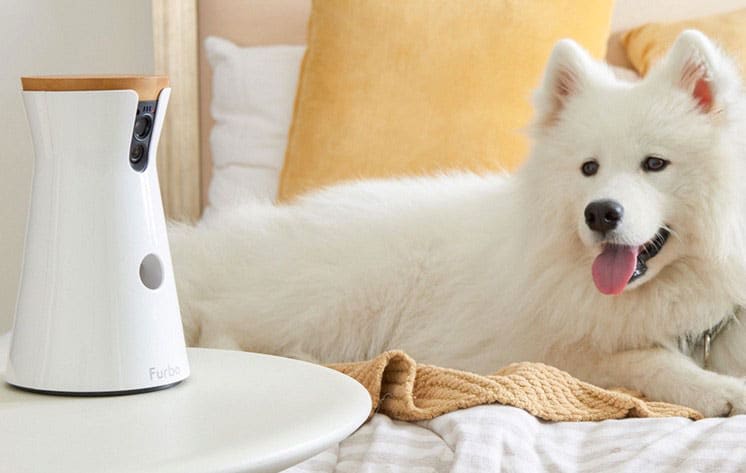 Furbo, ou comment allier caméra connectée et croquettes pour chien