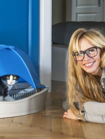 Smart Kitty, la litière connectée qui s'auto-nettoie