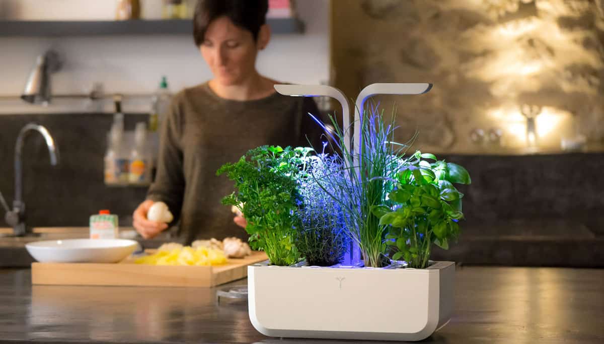 Le potager connecté dans votre cuisine avec Véritable