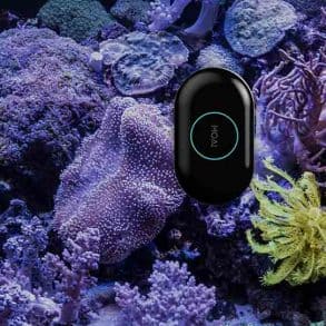 MOAI, le robot nettoyeur connecté pour votre aquarium