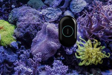 MOAI, le robot nettoyeur connecté pour votre aquarium
