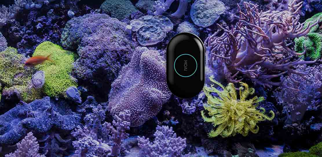 MOAI, le robot nettoyeur connecté pour votre aquarium