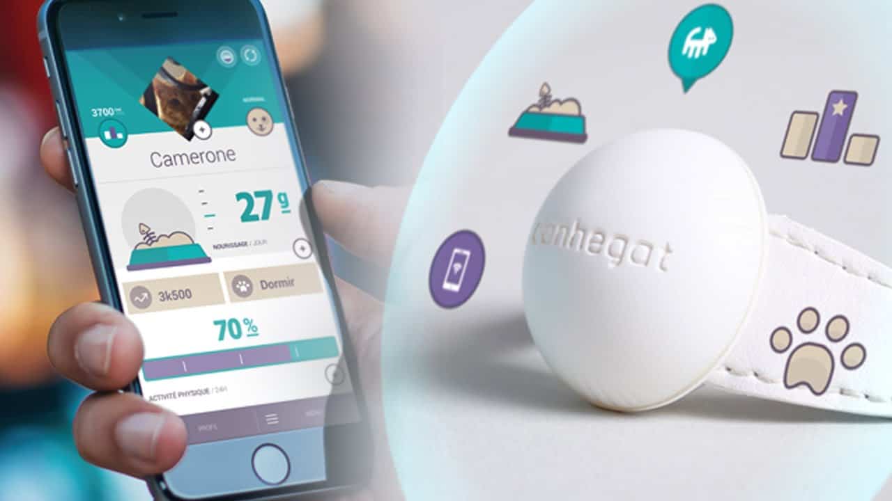 Prenez soin de votre animal avec  le tracker d’activité Canhe-Fit