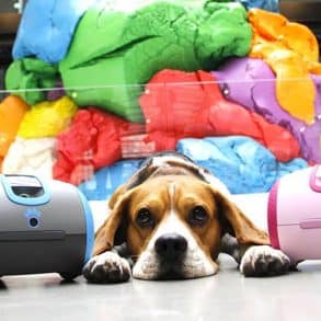 LaÏka, le robot qui accompagnera votre chien durant votre absence