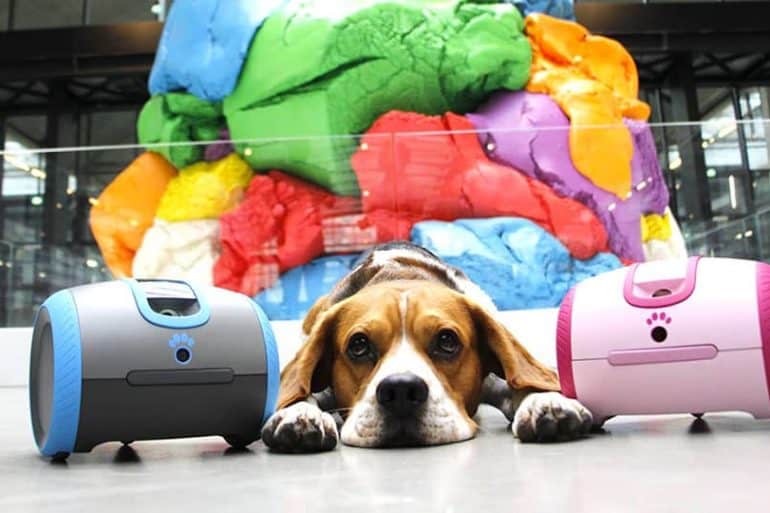 LaÏka, le robot qui accompagnera votre chien durant votre absence