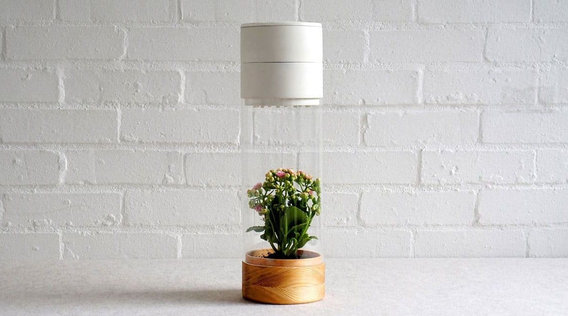 Phabit, le pot de fleur connecté d'un tout autre genre