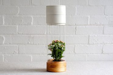 Phabit, le pot de fleur connecté d'un tout autre genre