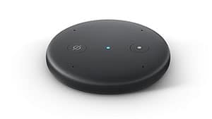 Amazon Echo Input