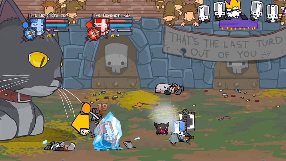 Test du jeu Castle Crashers Remastered réalisé sur Nintendo Switch