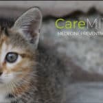 Caremitou, la litière e-santé pour chats