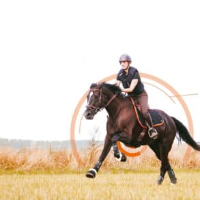 Motion S le capteur au cœur de votre entraînement avec votre cheval
