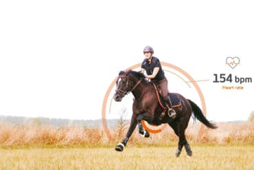 Motion S le capteur au cœur de votre entraînement avec votre cheval