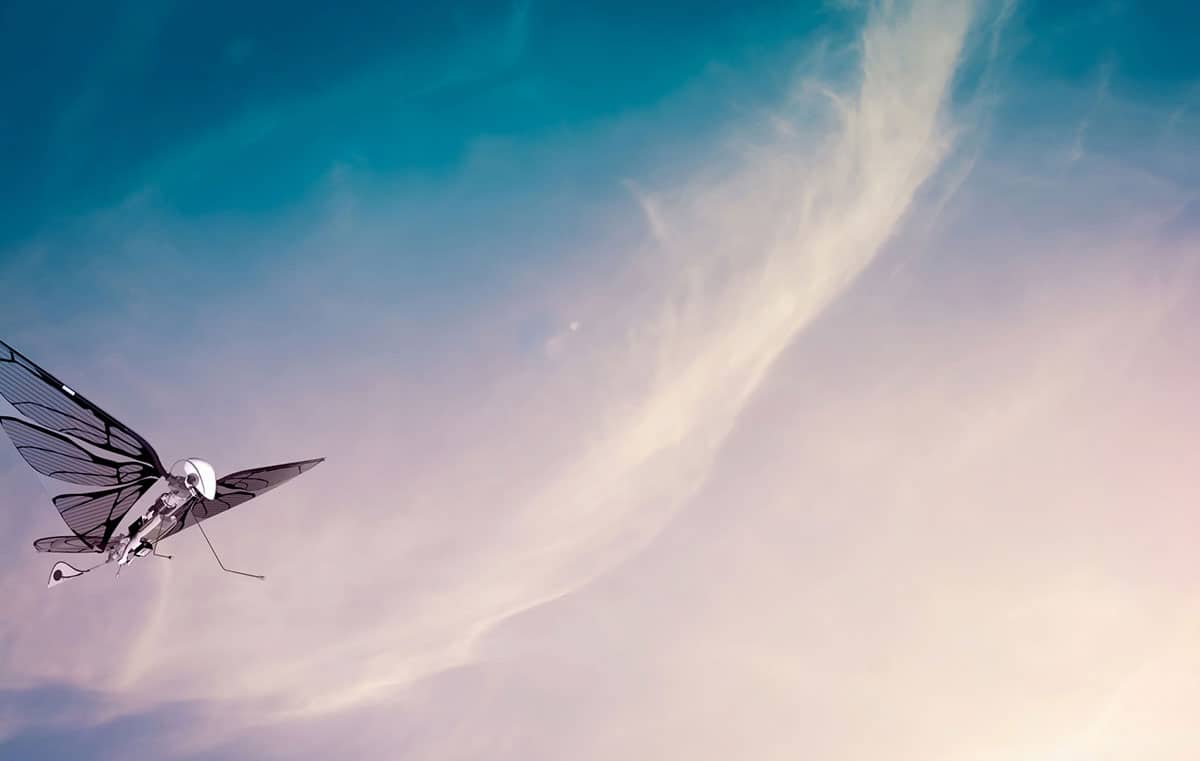 METAFLY papillonne sur le marché du drone de loisir