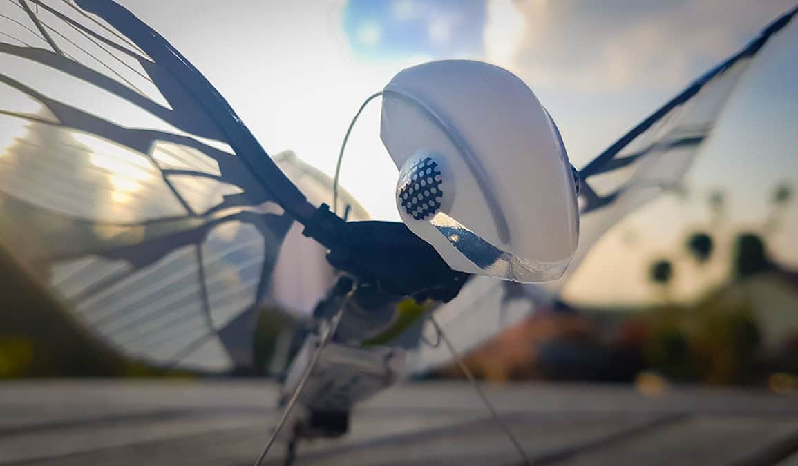 Test de l'oiseau biomimétique radiocommandé MetaFly
