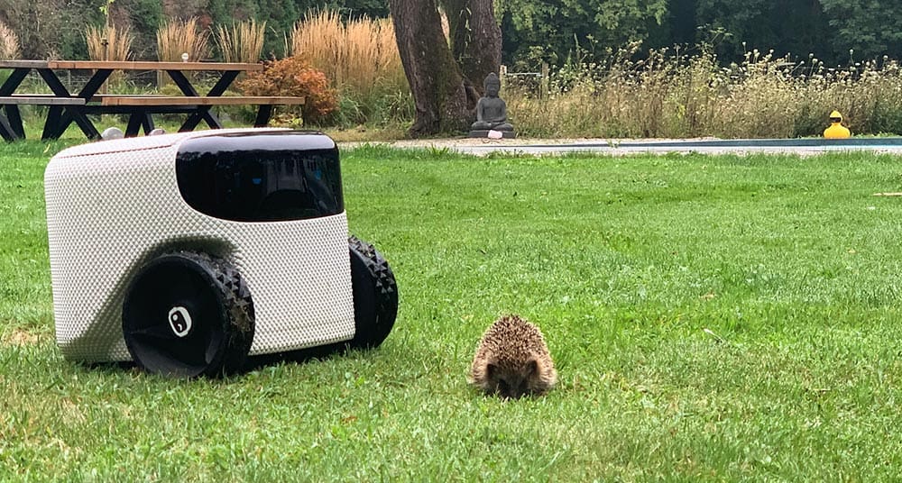 Le robot Toadi tond et surveille votre jardin en parfaite autonomie