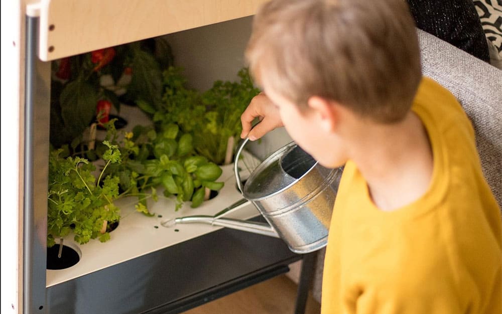 Liv, le potager connecté