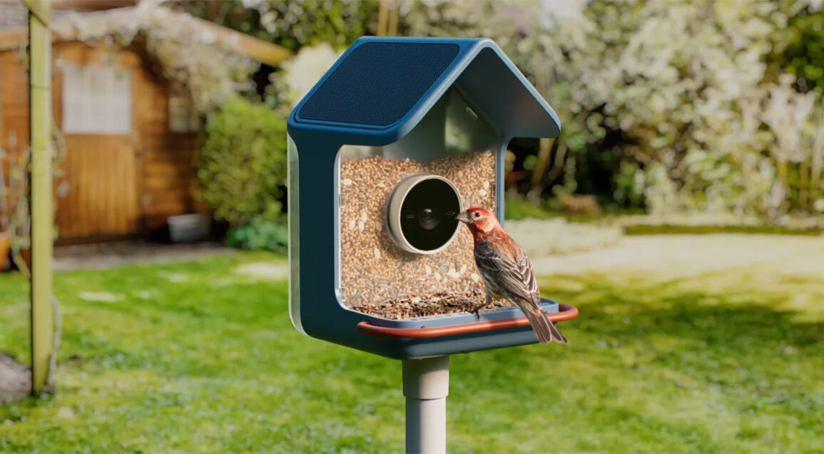 Birdbuddy 2, mangeoire connectée avec panneau solaire dans un jardin