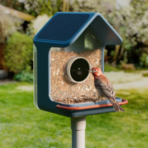 Birdbuddy 2, mangeoire connectée avec panneau solaire dans un jardin