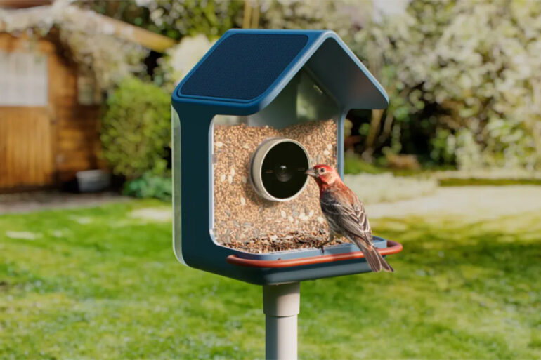 Birdbuddy 2, mangeoire connectée avec panneau solaire dans un jardin
