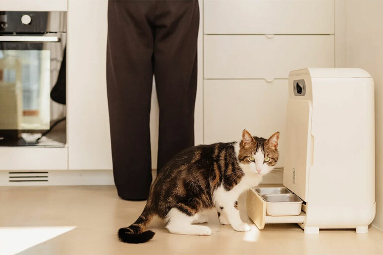 Chat mangeant dans la gamelle inox du distributeur YOMY à reconnaissance IA