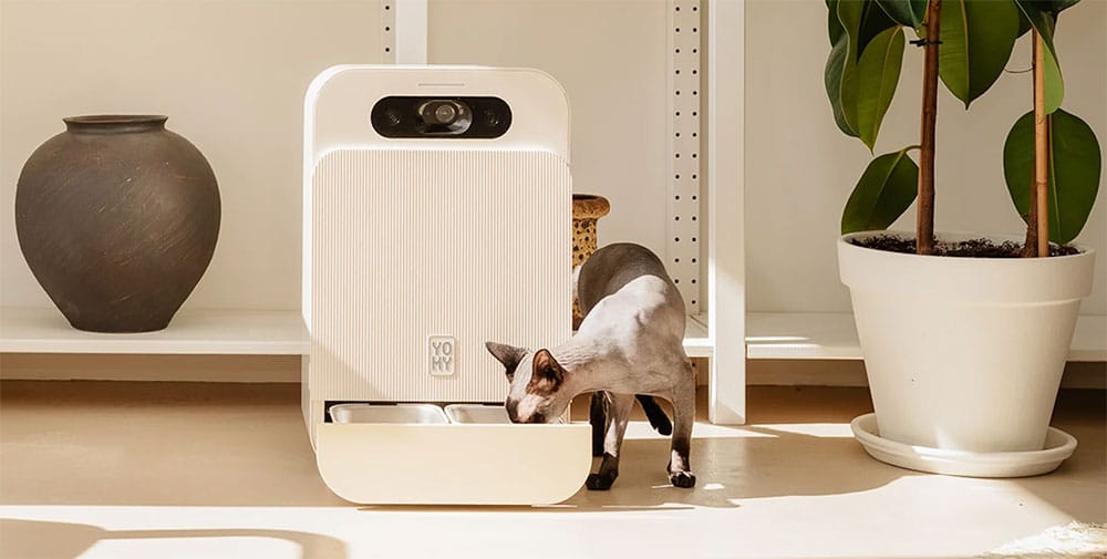 Distributeur connecté YOMY de pâtée pour chat dans un salon