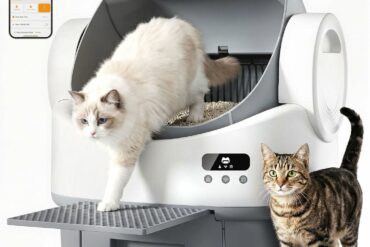 Litiere pour chat autonettoyante JUMMICO pilotee par application avec reservoir 12L