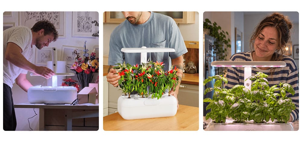 Urbi, potager d'intérieur connecté