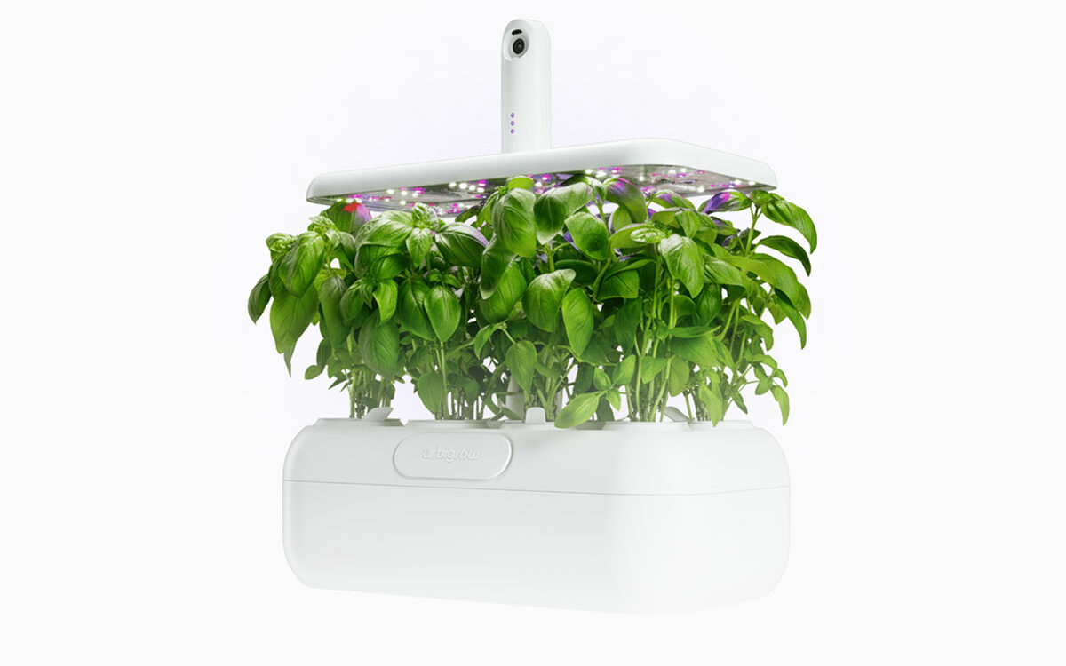 Urbi : le potager d'intérieur qui transforme le jardinage en jeu