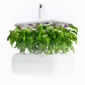 Urbi : le potager d'intérieur qui transforme le jardinage en jeu