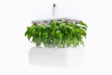 Urbi : le potager d'intérieur qui transforme le jardinage en jeu