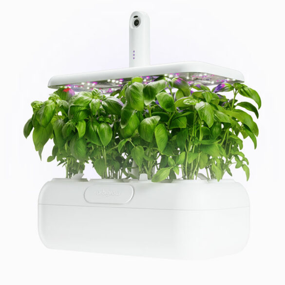 Urbi : le potager d'intérieur qui transforme le jardinage en jeu